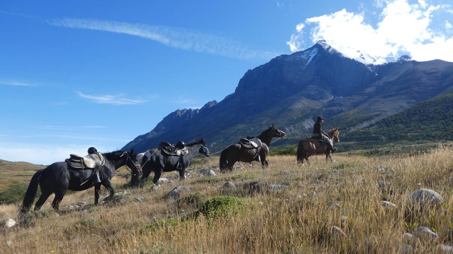 Planning Your Hike In Torres Del Paine 11 Essential Tips