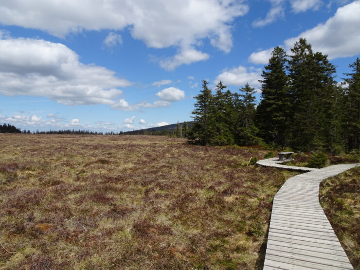 Harz mountains Germany, großes Torfhausmoor