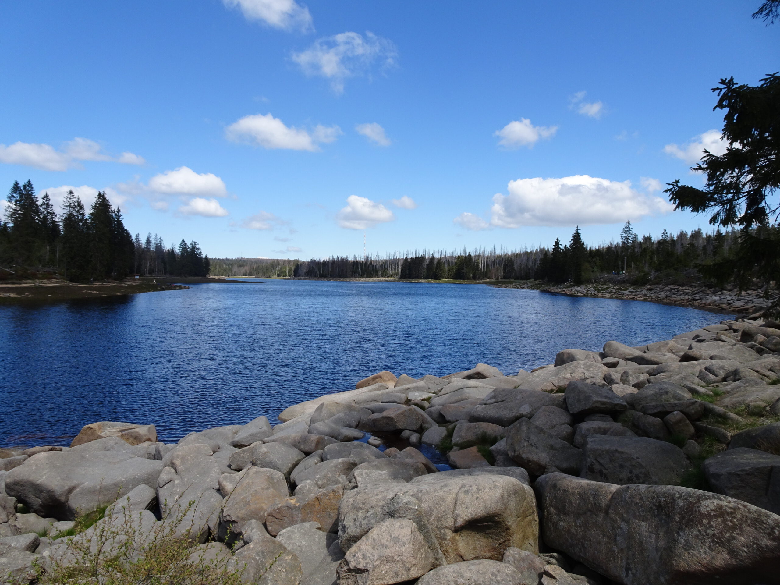 Harz Oderteich