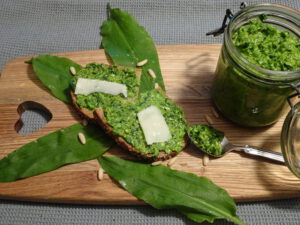 wild garlic pesto