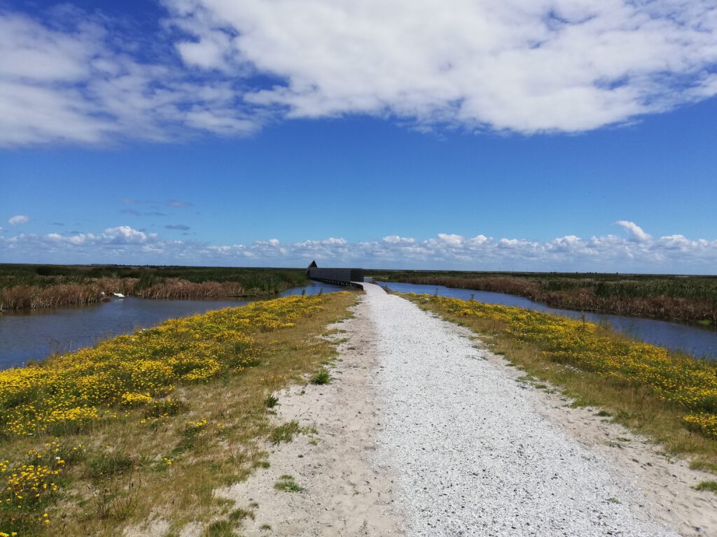 marker wadden tour