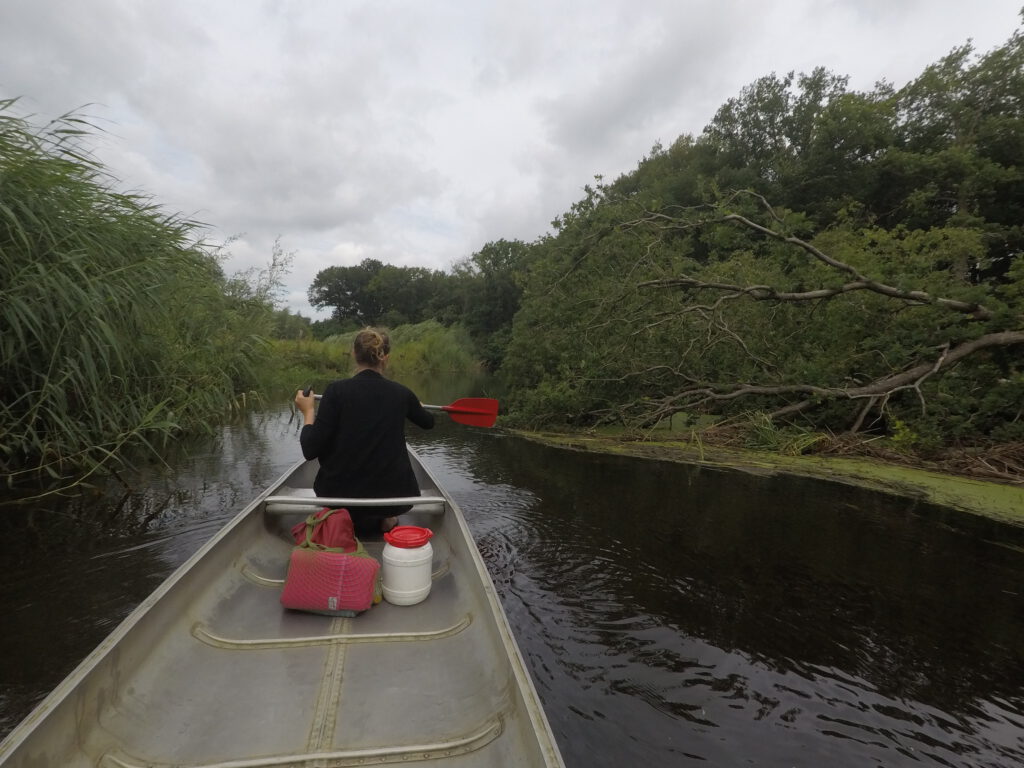 canoeing at the Regge river