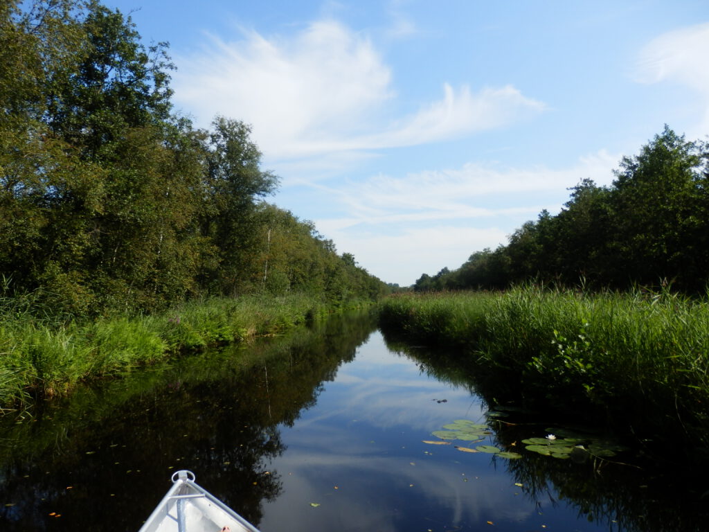 National Park Weerribben Wieden by boat