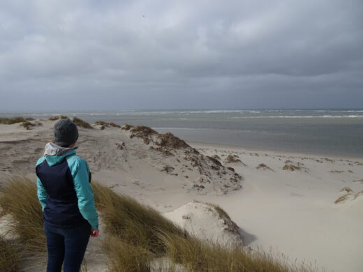 view from highest dune of Terschelling