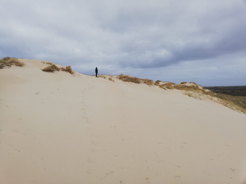 hikes on Terschelling