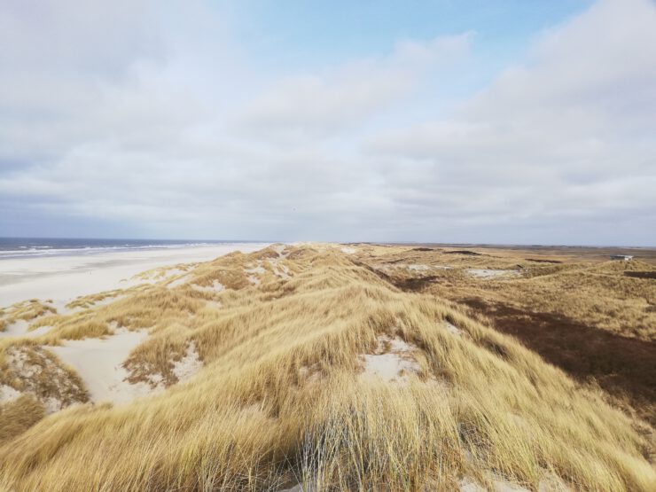 outdoor activities at the Dutch Wadden Island Terschelling